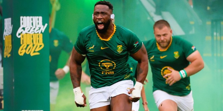 Springboks and the Rugby Renaissance: Can South Africa Retake the Top Spot?